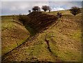 SU0765 : The Wansdyke by Gillie Rhodes