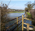 SU3977 : Flooded path by the Animal Sanctuary by Des Blenkinsopp