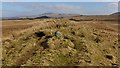 NS4682 : View along mound by Lairich Rig