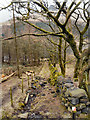 SE0203 : Wooded Path above Dove Stone Reservoir by David Dixon