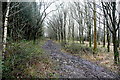 SP4514 : Bridleway in Bladon Heath by Graham Horn