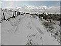 H5592 : Snow covered track, Meenacrane by Kenneth  Allen