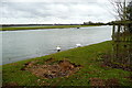 SP4907 : River Thames activity by Graham Horn