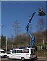 SX8966 : Cherry picker, The Willows by Derek Harper