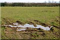 SK0436 : Muddy puddle beside Fole Lane by David Lally