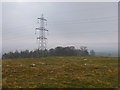 NT5048 : Ancient settlement site, Trabrown Hill by Jim Barton