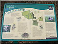 TM5194 : Camps Heath Information Board by Geographer