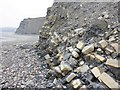  : Eroding cliffs, St Audries Bay by Roger Cornfoot