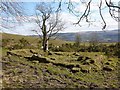 NS3779 : Ruins of Carman Cottage by Lairich Rig