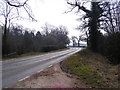 TG2504 : B1332 Bungay Road, Arminghall by Geographer