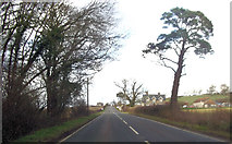  : Cooks Lane at Spire Hill Farm by John Firth