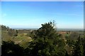 SS9943 : View north east from Dunster Castle by nick macneill