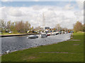 SJ5184 : Sankey Canal, Spike Island by David Dixon