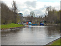 SJ5184 : Sankey Canal at Spike Island by David Dixon