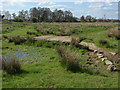 TQ0154 : River Wey watermeadows by Alan Hunt