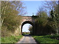 TM3974 : Railway Bridge on Edwards Lane by Geographer