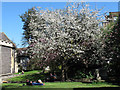 TQ1769 : All Saints churchyard in the sunshine by Stephen Craven