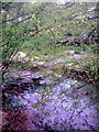 TM3770 : River Yox at Sibton Park Bridge by Geographer