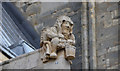 SK9771 : Hooded Keyholder Carving, Lincoln Cathedral by Julian P Guffogg