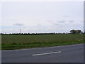 TM3784 : Wind Turbines at Green Farm by Geographer