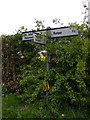 TM3588 : Roadsign on Lodge Road/Annis Hill by Geographer