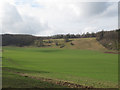 TR0747 : Small combe above the Stour Valley by Stephen Craven