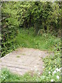 TM3587 : Footbridge of the Scotchman's Lane Byway by Geographer