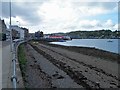 NM8530 : School children cleaning the beach, Oban by Steve  Fareham