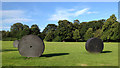 SE2812 : Michael Zwingmann: Invasion, 1999, Yorkshire Sculpture Park by Robin Stott