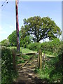 TQ3517 : Footpath near Plumpton, Sussex by Malc McDonald