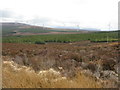 NG3050 : Moorland and forestry near Blackhill by M J Richardson