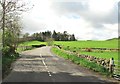 NX7790 : Waulkmill Bridge on the A702 by Ann Cook