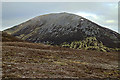  : View towards Airgiod Bheinn by William Starkey