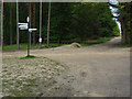 SU8864 : Waymarker, Swinley Forest by Alan Hunt