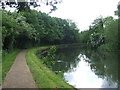 TL3706 : River Lee Navigation near Broxbourne by Malc McDonald