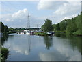 TL3811 : River Lea at St. Margaret's by Malc McDonald