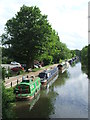 TL3808 : River Lee Navigation near Hoddesdon by Malc McDonald