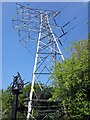 SJ4175 : Pylon by the Shroppie by Jeff Buck