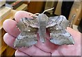 TL2601 : Poplar Hawk Moth (Laothoe populi) by Rob Farrow