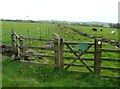 SE0124 : Bridle gate on Miry Lane by Humphrey Bolton