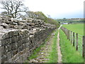 NY6266 : Hadrian's Wall near Willowford by David Purchase