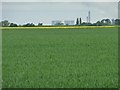 SE7718 : Cereal field, west of Reading Gate by Christine Johnstone