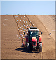 J5382 : Tractor, Bangor by Rossographer