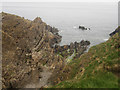 NT9564 : Contorted rocks near Agate Point by Graham Robson