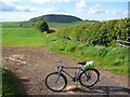 NT5873 : Rural East Lothian : Teatime Over, Time To Hit The Road by Richard West