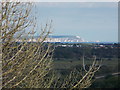 SZ1495 : Christchurch: Needles view from St. Catherines Hill by Chris Downer