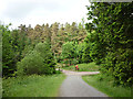 SD3496 : Horse rider and dog, Grizedale Forest by Karl and Ali