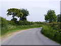 TM4480 : Strawberry Lane, Uggeshall by Geographer