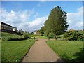 SP7655 : Public footpaths divide, west of Grange Spinney by Christine Johnstone