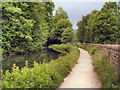 SK3156 : Cromford Canal by David Dixon